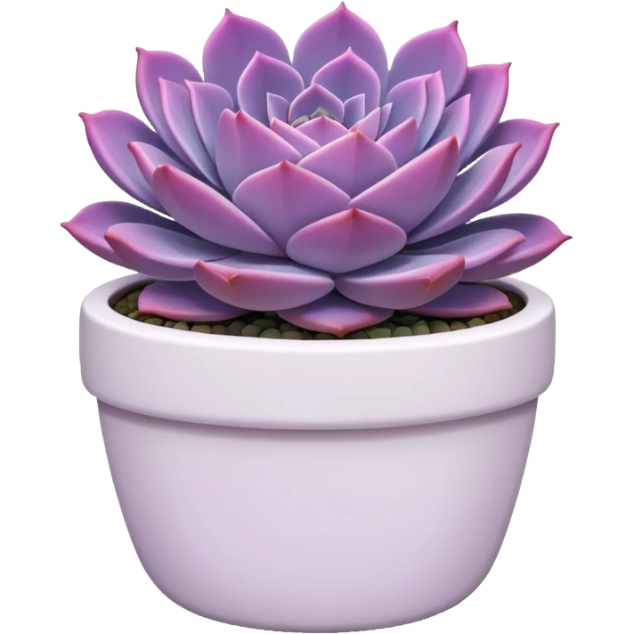 Purple Heart-shaped echeveria succulent in white pot emoji