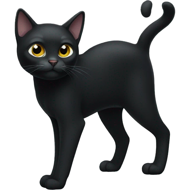 Black cat standing, the cat has white paws and white chest emoji