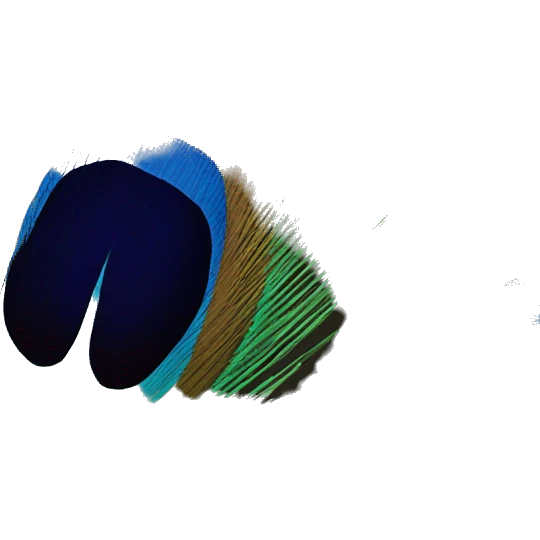 Peacock feather emoji