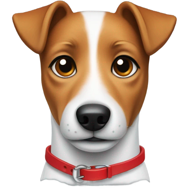 Jack russel with red collar emoji