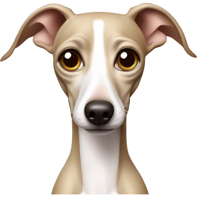 cream italian greyhound disgusted emoji