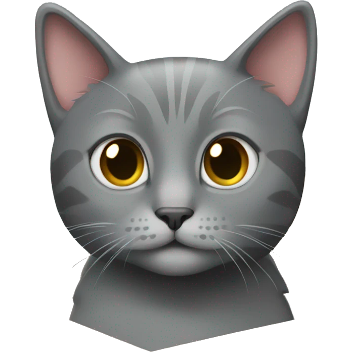 Grey cat in the box  emoji