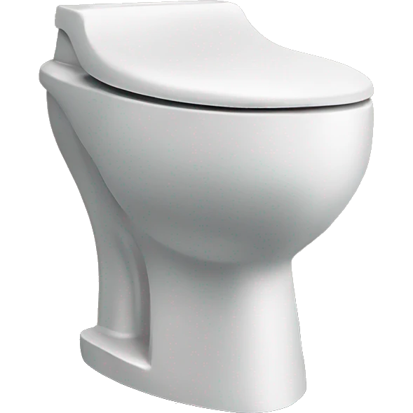 Big skibidi toilet emoji