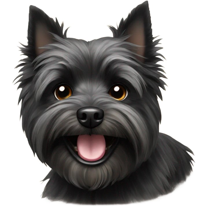 Happy black  cairn terrier  emoji