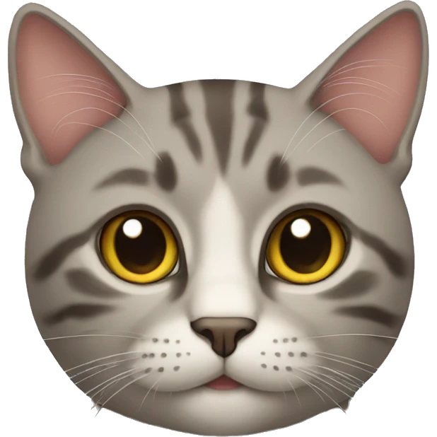 cat emoji