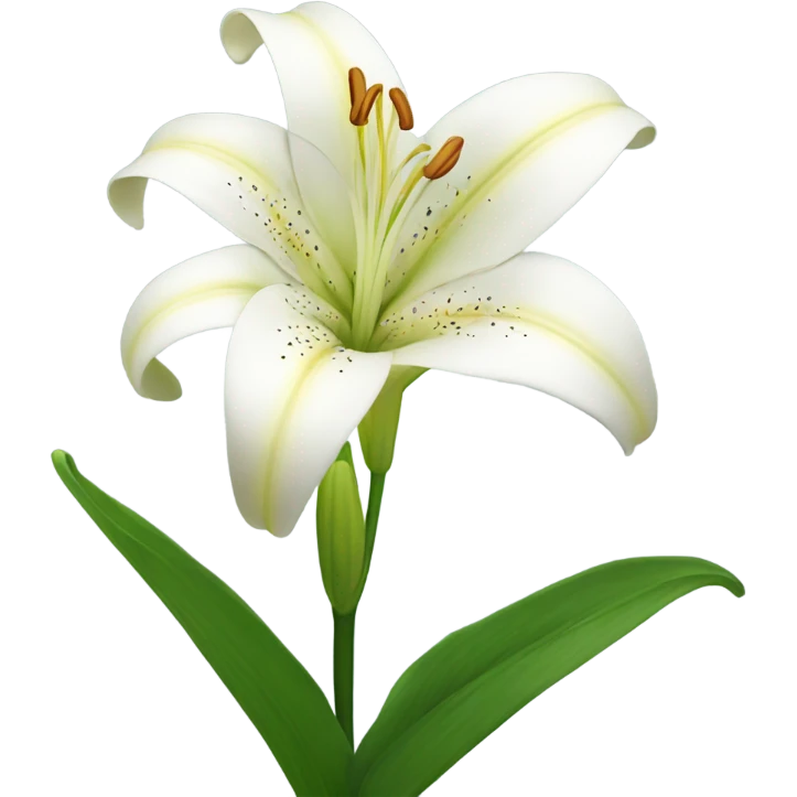 Lily flower emoji