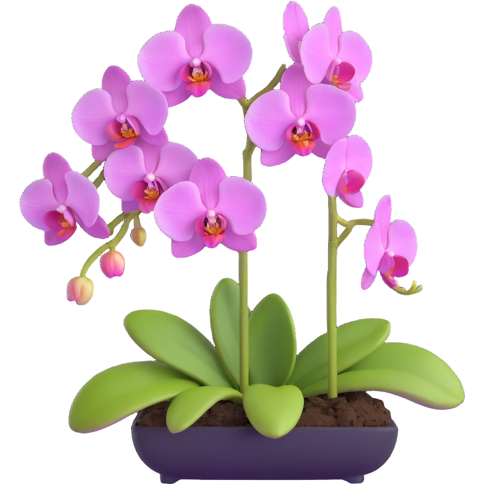 Detailed phalaenopsis moth orchid with realistic texture, elegant arching stem and multiple blooms emoji