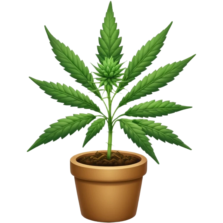 Cannabis emoji