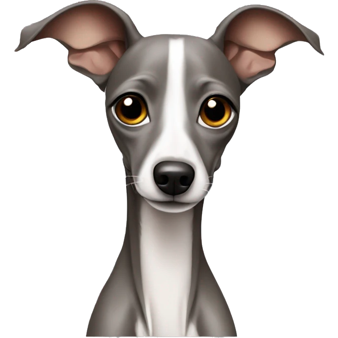 italian greyhound  emoji
