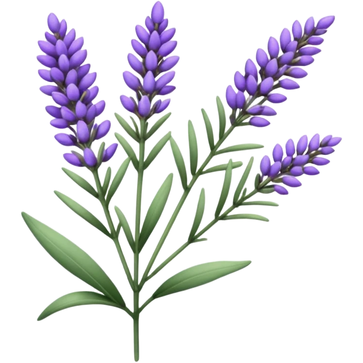 Lavender  emoji