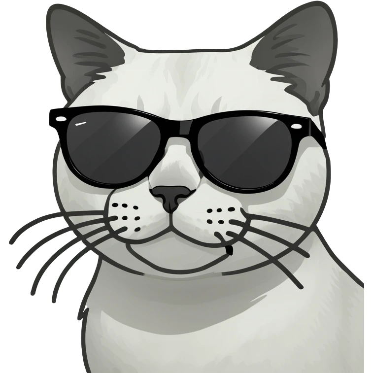 Cat with sunglasses emoji