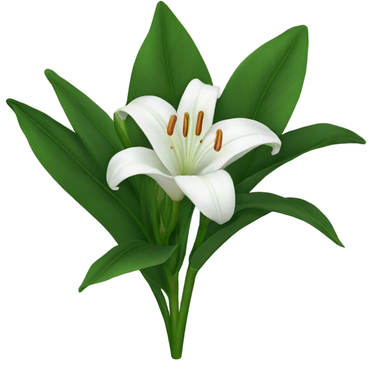 White Lily emoji