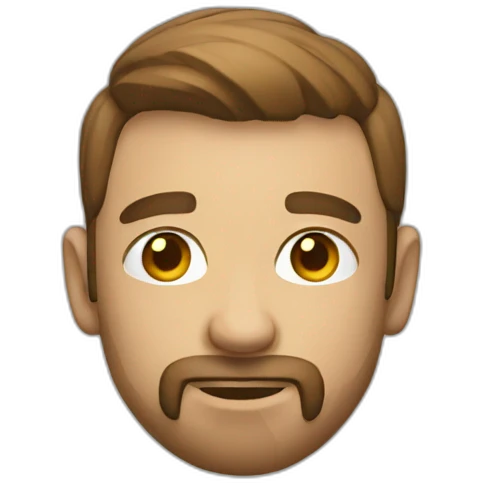 frontend-developer emoji