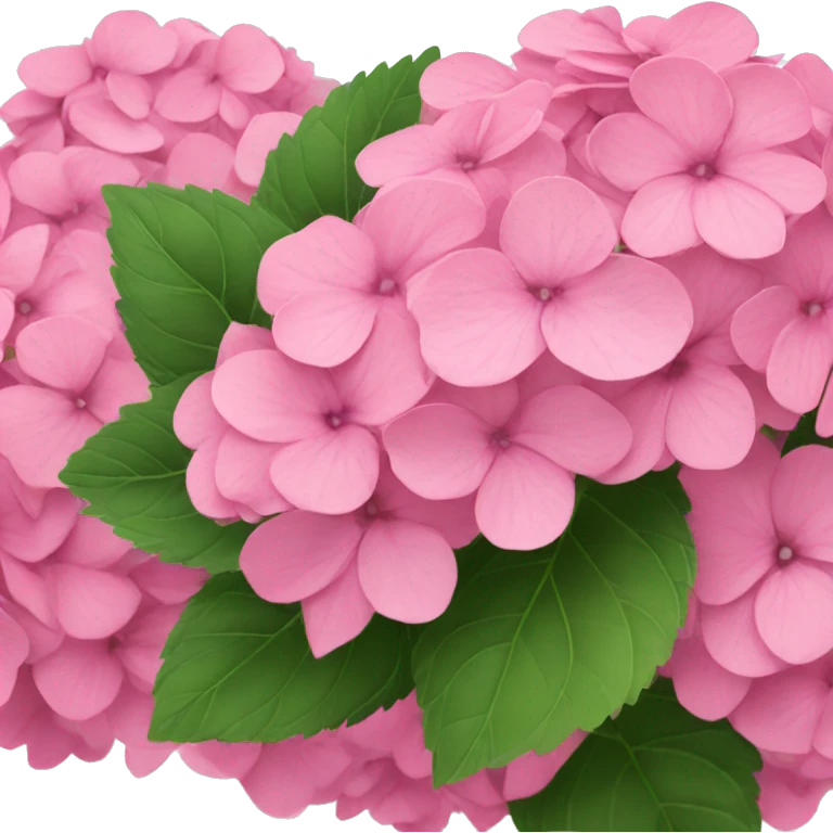 Pink hydrangeas  emoji
