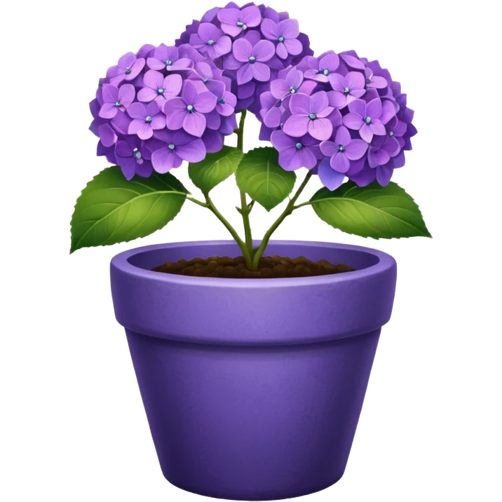 purple hydrangeas flower pot emoji