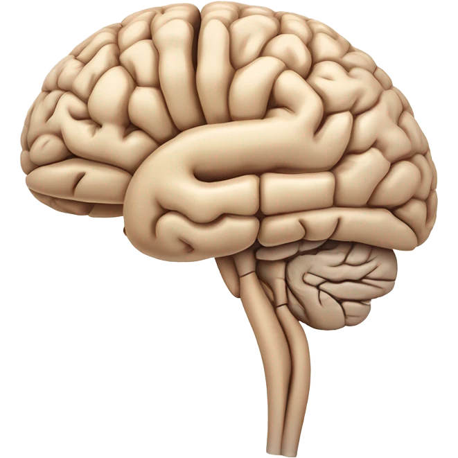 Brain anatomy  emoji