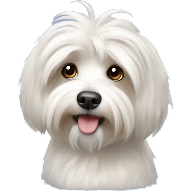 Havanese emoji