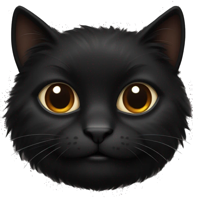 Fluffy black cat with brown eyes  emoji