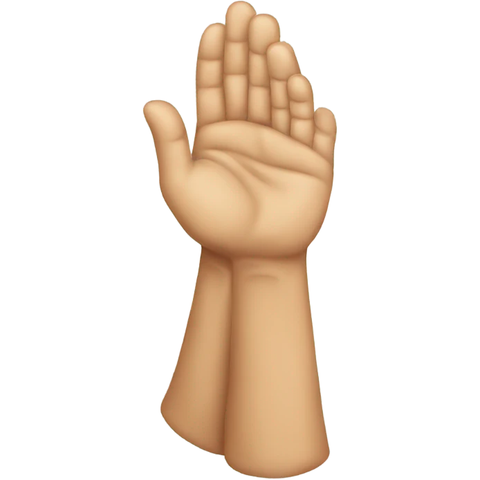  Prayer Hands Emoji emoji