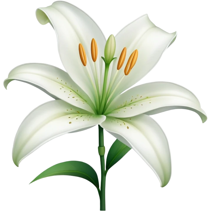 White lily flower emoji