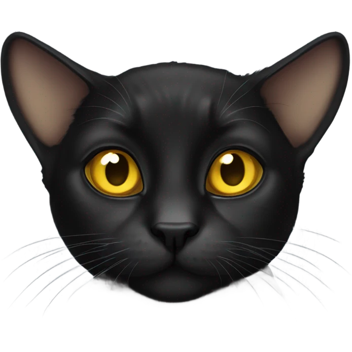 Black lop-eared cat with yellow eyes emoji
