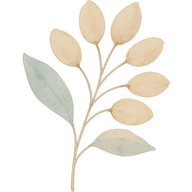 illustration of Kinkéliba seeds, natural style, soft colors, no text emoji