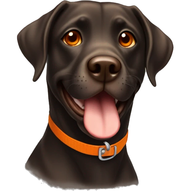 dark brown labradour with tongue out and orange eyes happy emoji