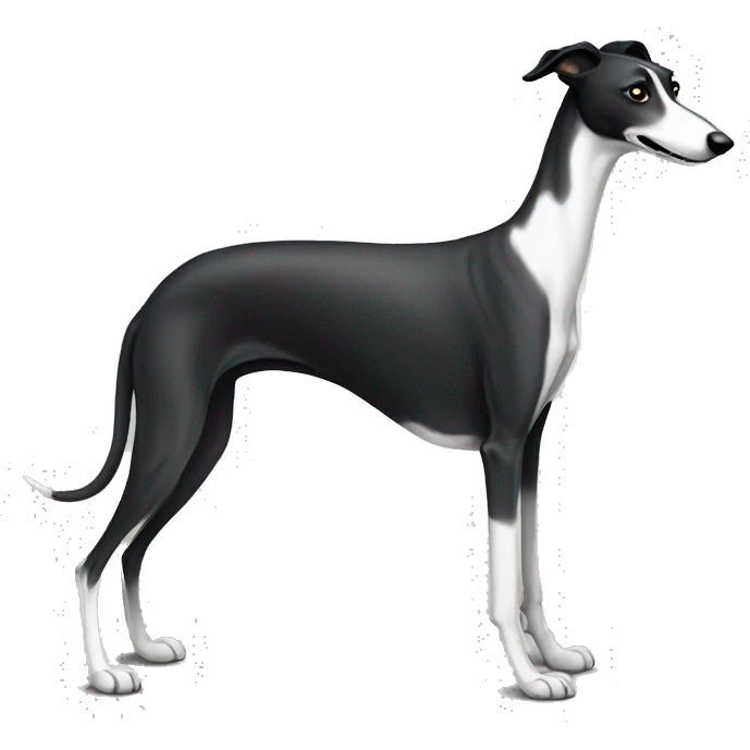 Black white greyhound  emoji