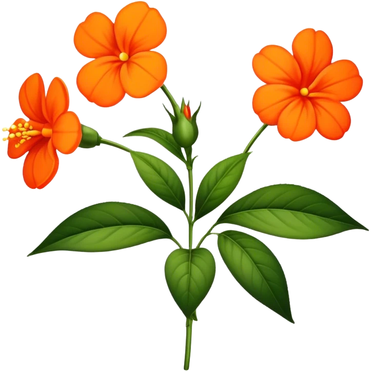 single Orange Impatiens, straight stem emoji