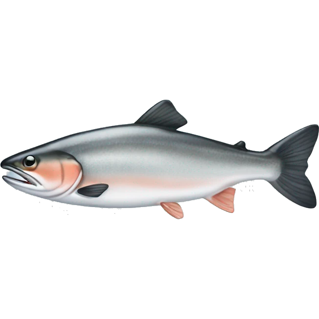 silver salmon emoji