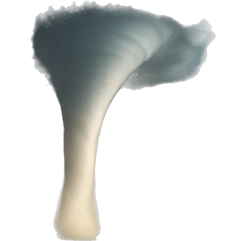 big wide tornado emoji