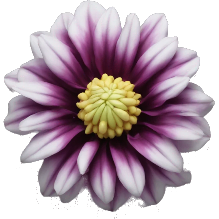 black dahlia flower emoji
