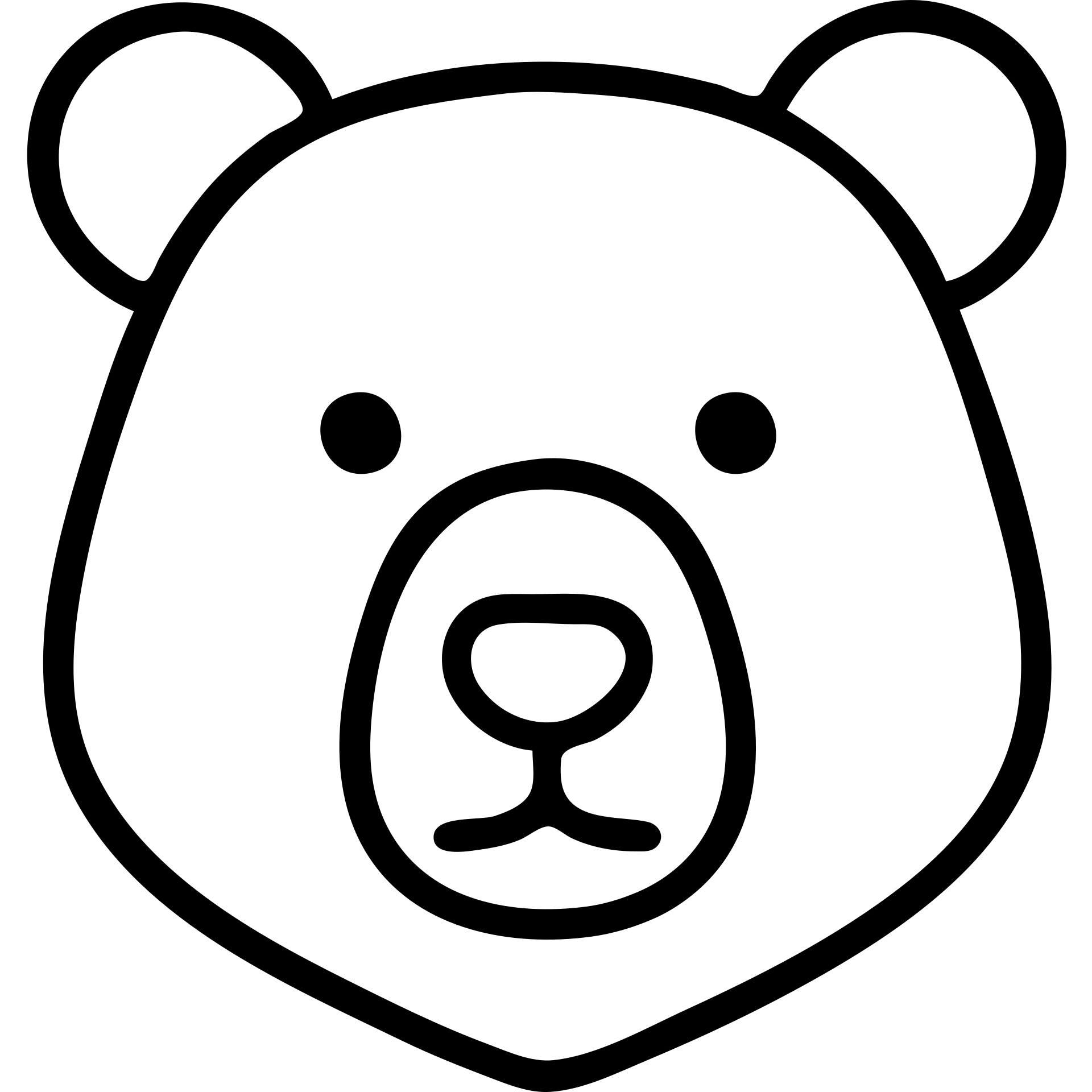 Bear, minimalist bear face icon emoji