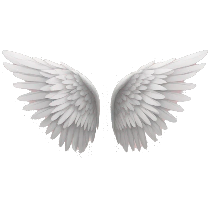 A pair of wings emoji
