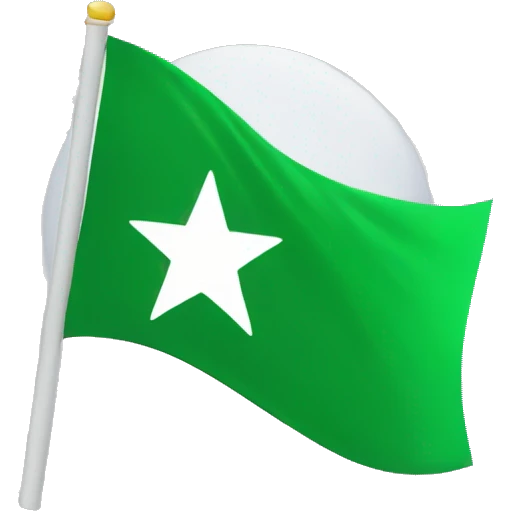 A green flag with three white stars and a white crescent on it emoji