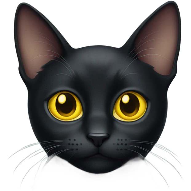 black cat with yellow eyes emoji