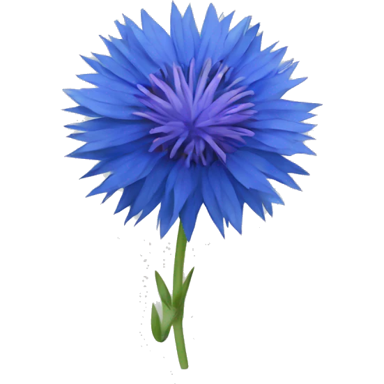 blue cornflower emoji