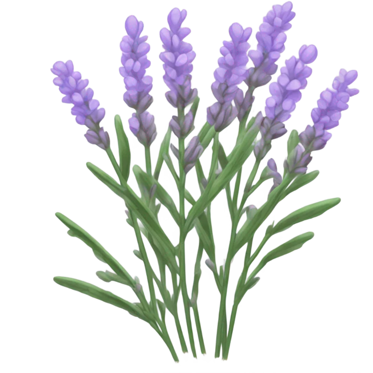Lavender emoji