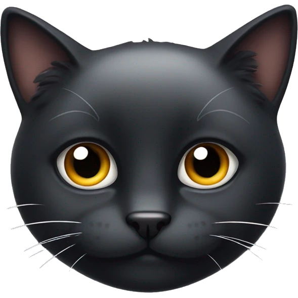 fluffy black cat with white spot on nose emoji