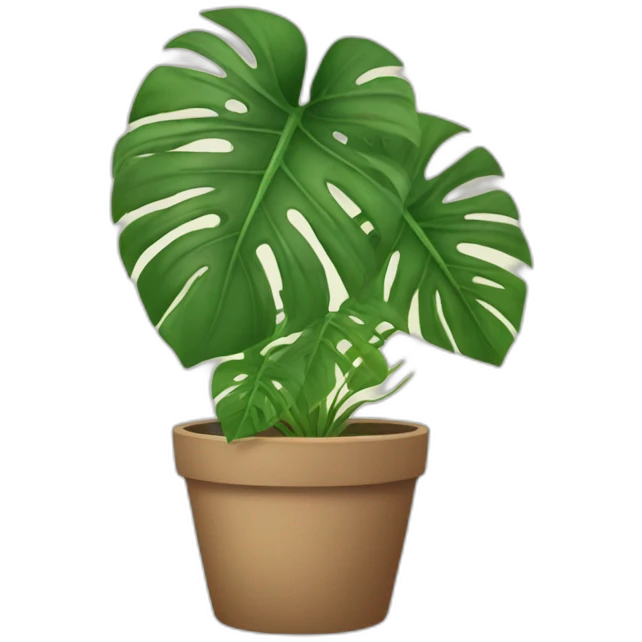 Potted-monstera emoji