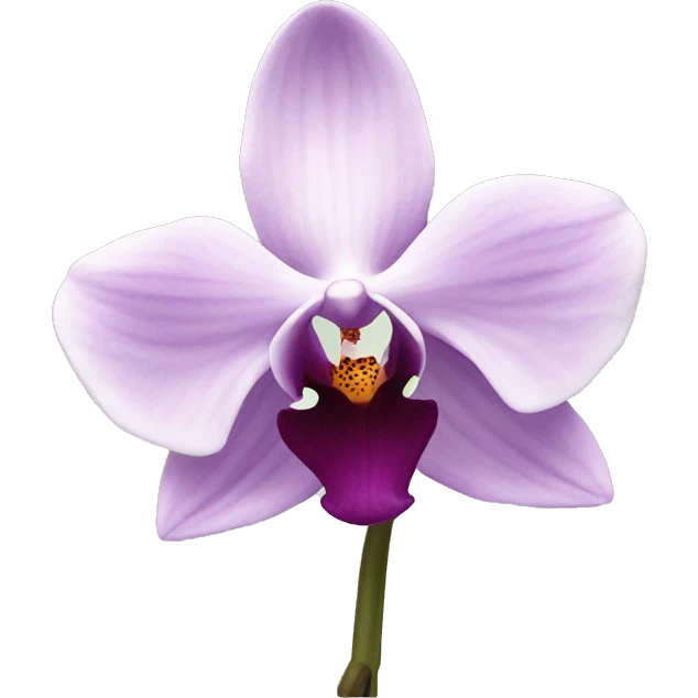Orchid emoji