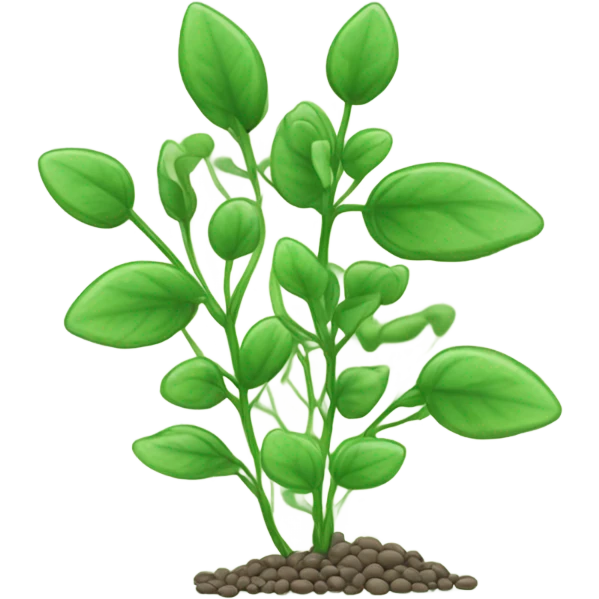 Lentils cover crop emoji