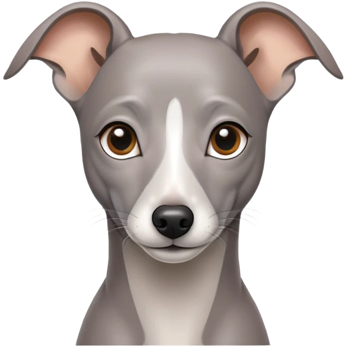 Gray Italian greyhound emoji