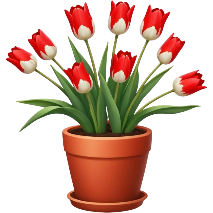 red and white tulips pot emoji