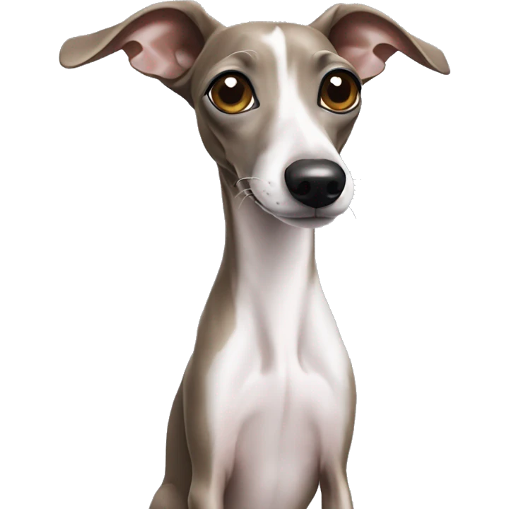 An italian greyhound waving a paw emoji