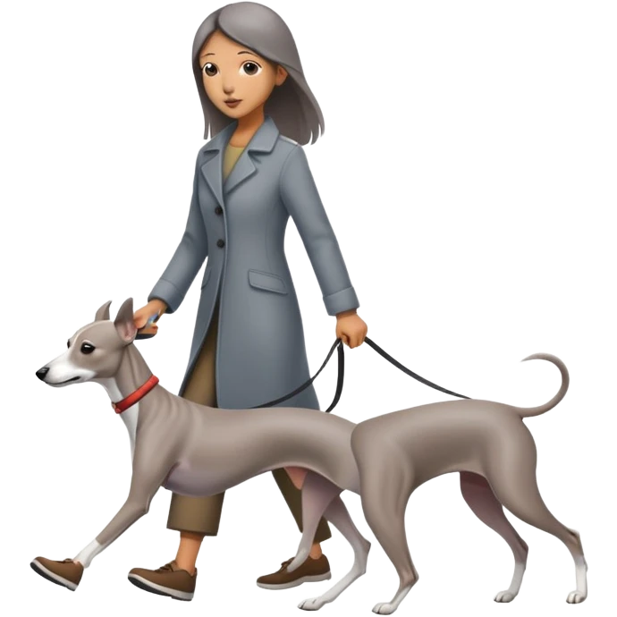 Beautiful Asian girl walking a solid grey Italian greyhound with absolutely no white markings, completely grey dog emoji