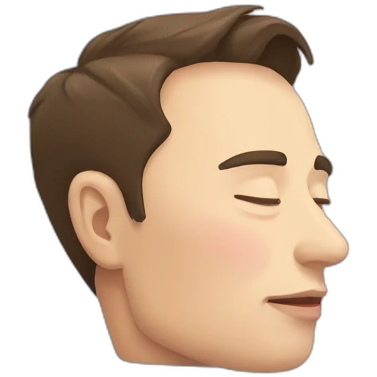 Elon musk sleep emoji