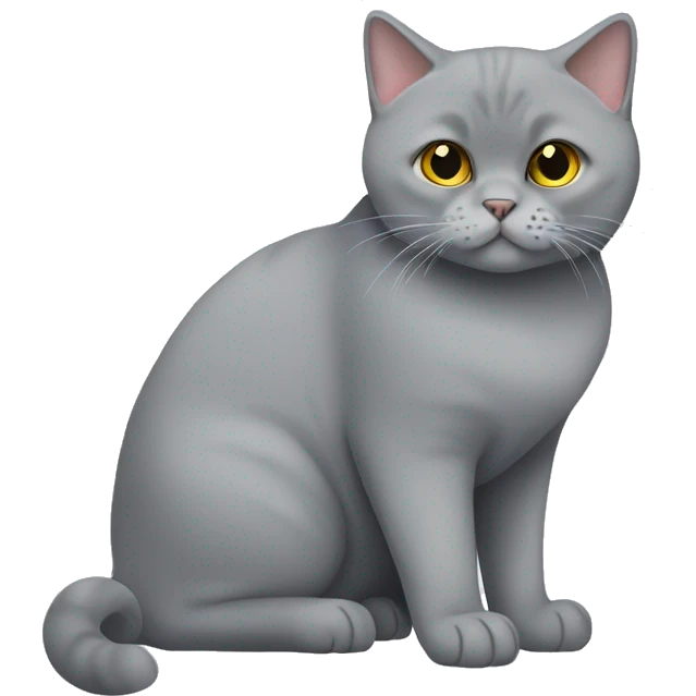 Cute Grey British shorthair cat full body emoji