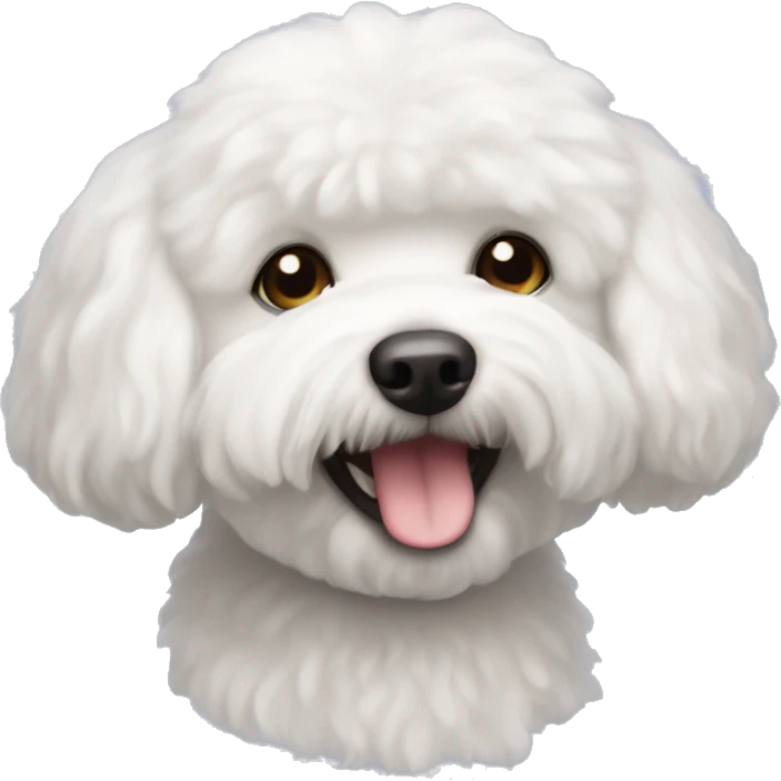  Dog of the Bichon Frise breed emoji