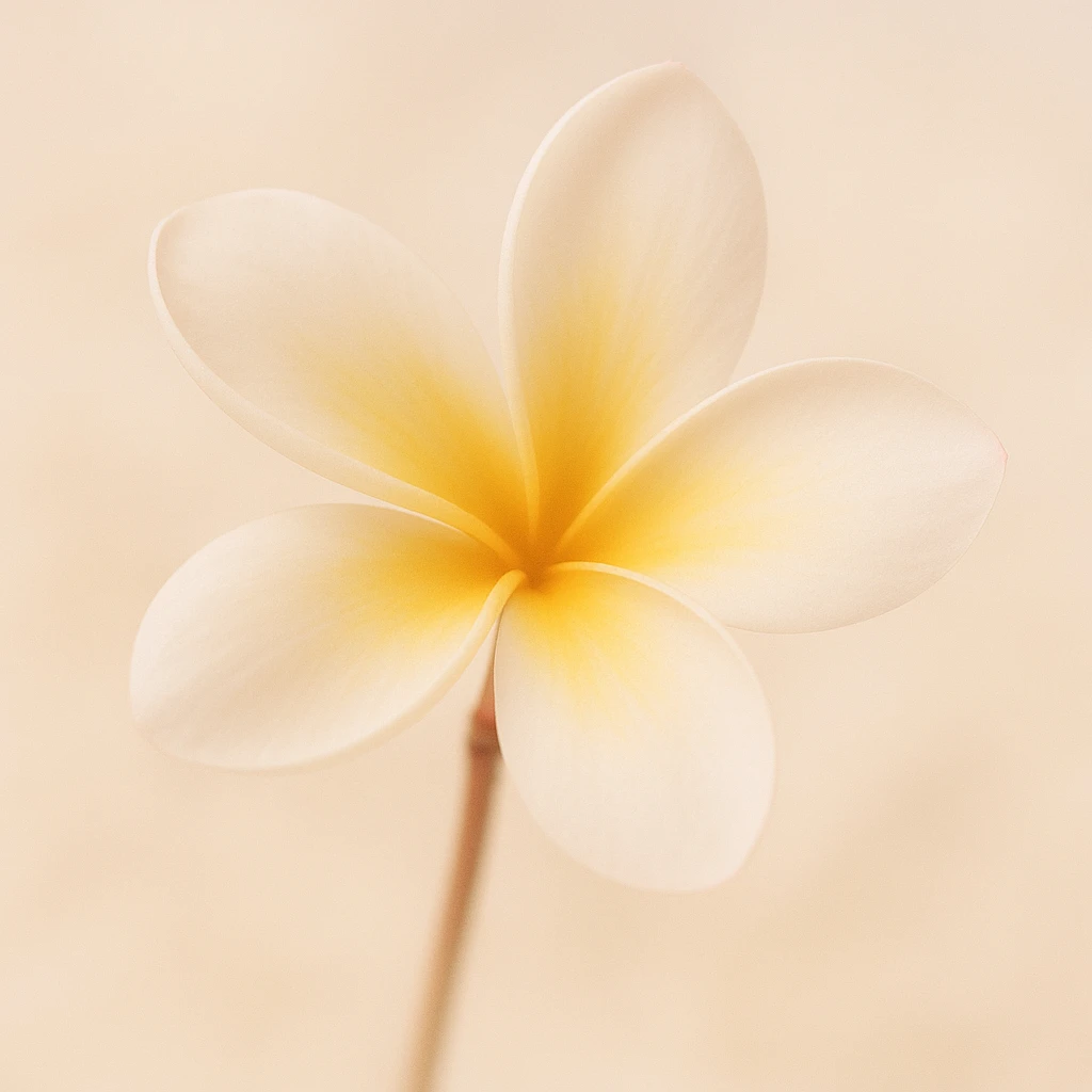 pinteresty plumeria flower, aesthetic, soft focus, minimal background, gentle color palette emoji